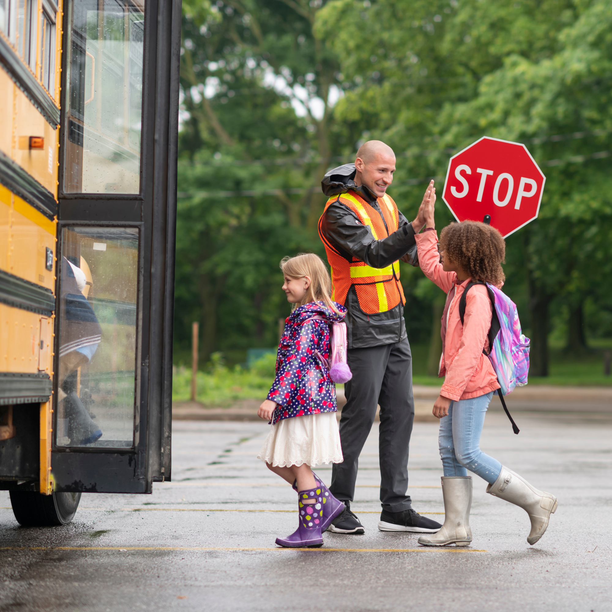 Crossing guard helps kids get to the school bus.