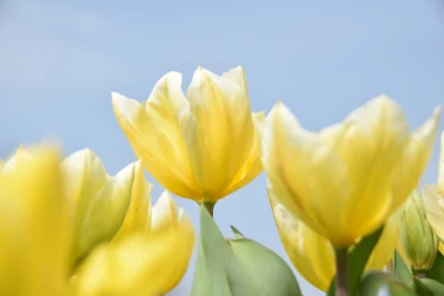 Spring: The Secret Season for School Technology Changes